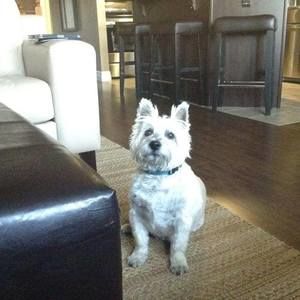 Meet your Posher, Elaine